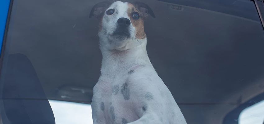 Car Lockout Solutions in El Cerrito, California